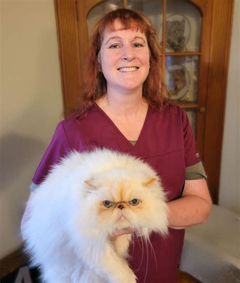 berwick veterinary care center|willoughby pet clinic.